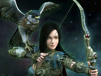warrior and her bird, girl, arrow, bird, bow HD wallpaper
