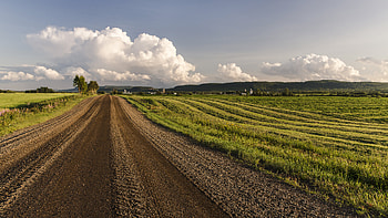 Nature, Trees, Grass, Sky, Road, Field HD wallpaper