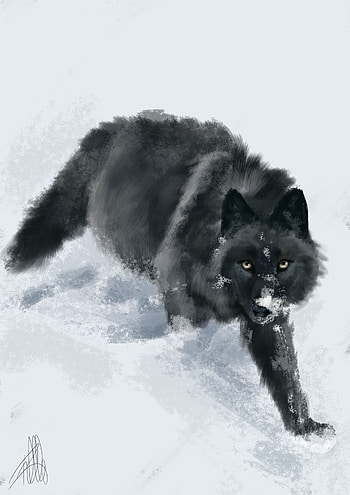 Art, Snow, Wolf, Beast HD phone wallpaper