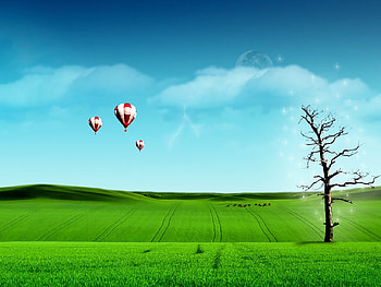 3 d nature, digital, field, 3 d, green, nature, grass, tree HD wallpaper