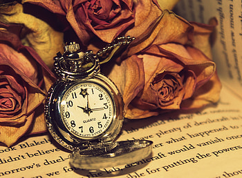 Roses, Clock, Miscellanea, Miscellaneous, Reading, Read HD wallpaper