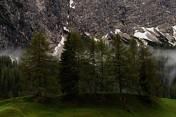 Scenic view of foggy mountains and pine trees during snowmelt season. HD wallpaper