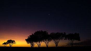 Sunset, trees, Siesta Park, Australia HD wallpaper