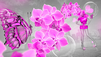 Fantasy, pink, creative, butterfly, tony kokhan, bw, orchid, girl HD wallpaper