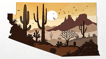 Arizona Desert Sunset Ultra, Arizona, desert, cactus HD wallpaper