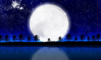 BLUE NIGHT, SKY, STARS, TREES, REFLECTION, MOON, BLUE HD wallpaper