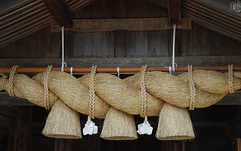 Miscellanea, Miscellaneous, Plexus, Roof, Rope HD wallpaper