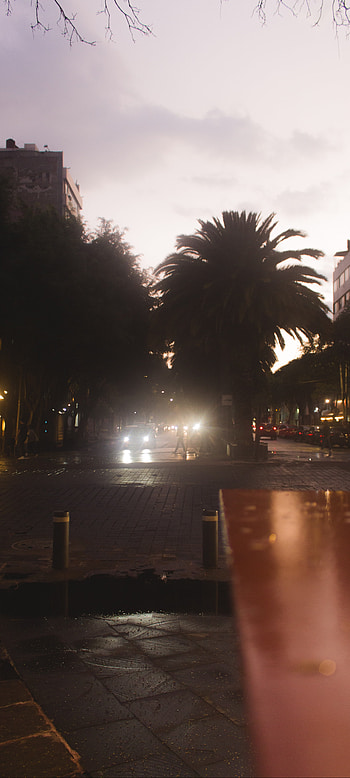 CDMX chill, mexico, lofi, city HD phone wallpaper