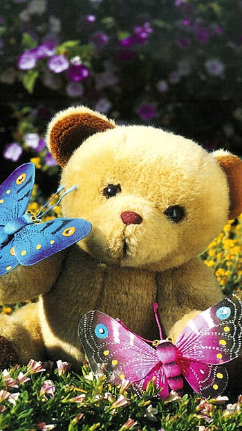 Beautiful Teddy Bear, Beautiful, Butterflies HD phone wallpaper