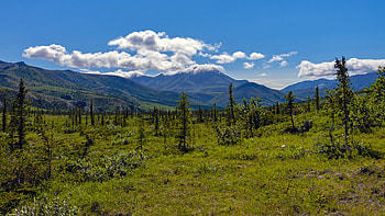 Nature, Trees, Grass, Mountains, Clouds, Spruce, Fir HD wallpaper