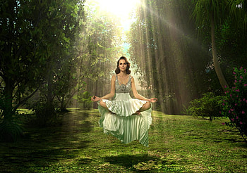floating girl, girls, anime, fantasy, animals HD wallpaper