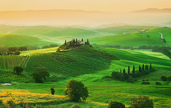 Nature, Grass, Italy, Field, Tuscany, Manor, Homestead HD wallpaper