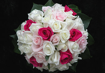 Flowers, Roses, Leaves, Pink, Registration, Typography, Bouquet, Handsomely, It's Beautiful HD wallpaper