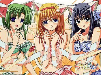 Here Kitty Kitty, blue, sexy, cat ears, kitty, shuffle, hot, cute, cat, angel, demon, pink, delicate, anime, green, funny, adorable HD wallpaper