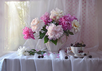 Still life, Flowers, Peonies, Bouquet, Cherry HD wallpaper