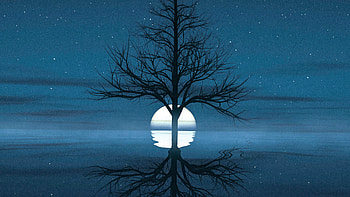 Moon Set Behind Tree, artist, artwork, digital-art HD wallpaper