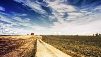 Road, landscape, farms HD wallpaper
