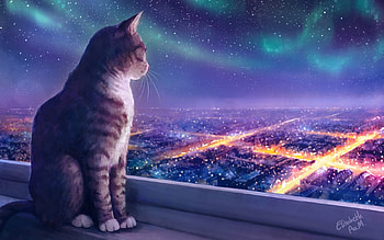 Aurora, night, city, elisabeth aarebrot madsen, cat, pisici, fantasy, lights, luminos HD wallpaper