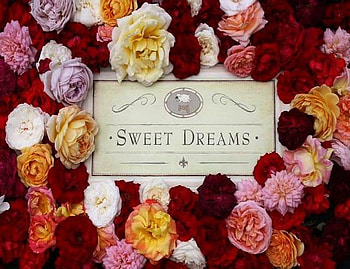 Goodnight Sleep Tight, pink, message, roses, yellow, red, colours, dreamy, orange HD wallpaper
