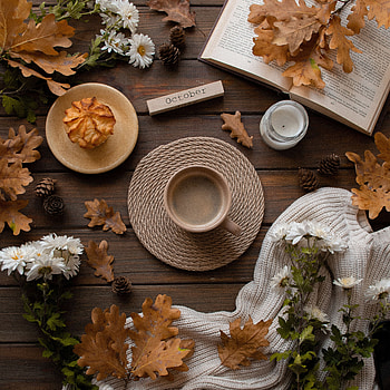 Flowers, Autumn, Leaves, Miscellanea, Miscellaneous, Cup, Mood, Drink, Beverage HD phone wallpaper