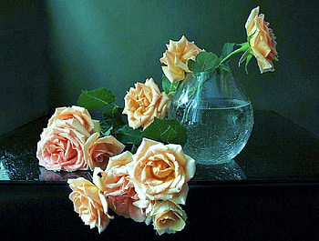 Roses in blue, pastel, pink, white, cascading, roses, peach, yellow, blue vase HD wallpaper