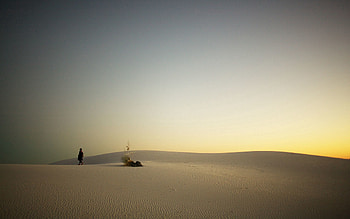 Nature, Sunset, Sand, Desert, Evening, Traveler, Wayfarer HD wallpaper