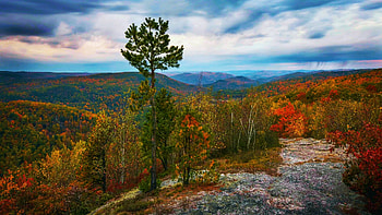 Autumn storm passing through in the Berkshires, Massachusetts, leaves, hills, colors, trees, landscape, rocks, forest, usa, fall HD wallpaper