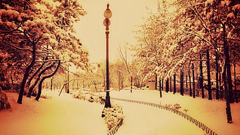 Empty Streets..., winter, street, nature, snow HD wallpaper