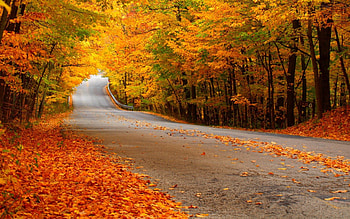 foggy autumn road, where, i, foggy, live, autumn, road HD wallpaper