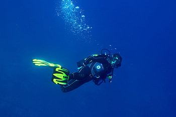 Dive into marine life, Underwater exploration, Diving equipment, Marine organisms HD wallpaper