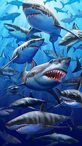 Sharks, shark, jaw, blue, fish HD phone wallpaper