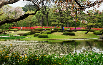Japanese Screensavers And HD wallpaper
