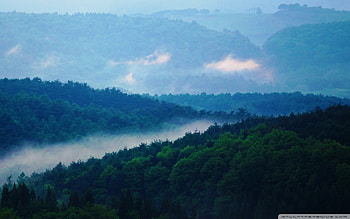 Wide 16:10 HD wallpaper