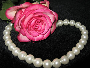 pearl and roses, pink, roses, pearl, beauty HD wallpaper