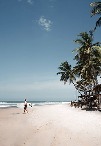 Enjoy a tranquil walk on the pristine beach of Arugam Bay under palm trees. HD phone wallpaper