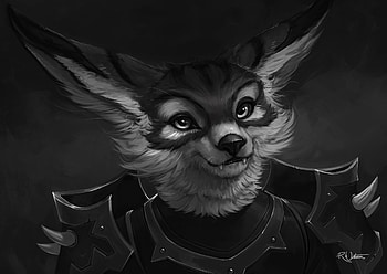 Velox the Vulpera, black, white, becky watson, face, bw, velox, fox HD wallpaper