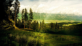 Mid-Day, green, cool, warm, lovely, beauty HD wallpaper