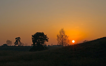 Nature, Trees, Sunset, Grass, Sun, Slope HD wallpaper
