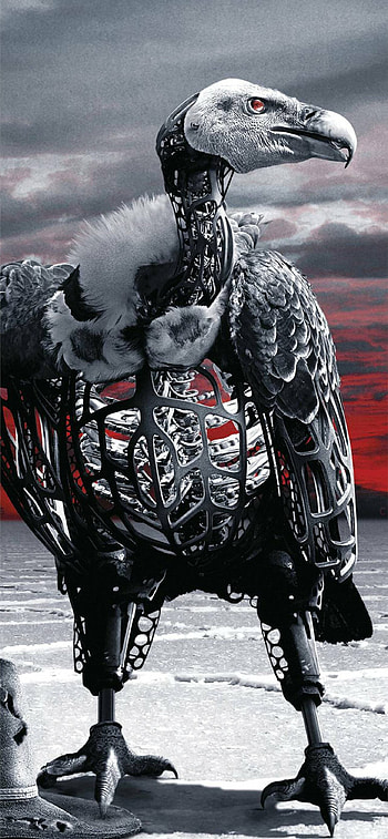 Westworld, , Best HD phone wallpaper