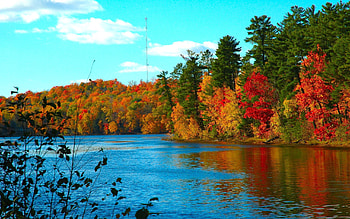Nature, Rivers, Trees, Autumn, Flow HD wallpaper