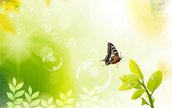 Butterfly, other, leafs, bubbles HD wallpaper