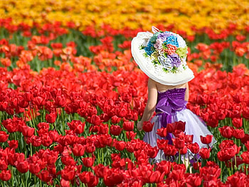 Princess of Nature, cool, colours, flowes, princess-of-nature HD wallpaper