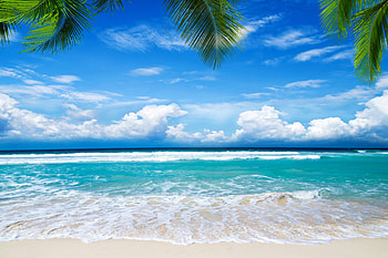Nice Morning, blue, sky, nature, beach HD wallpaper