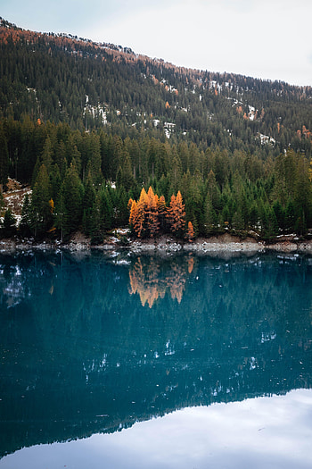 Nature, Water, Lake, Reflection, Forest, Slope HD phone wallpaper