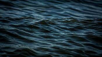 Nature, Water, Waves, Dark, Ripples, Ripple HD wallpaper
