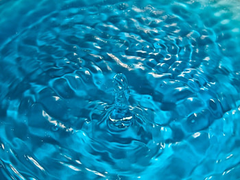Water Drop, drop, water HD wallpaper