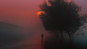 Lost In Morning Vibes, alone, relaxing, sunrise, artist, artwork, digital-art HD wallpaper