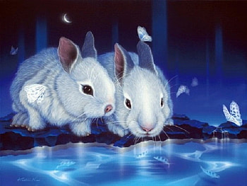 ★Cute Rabbits & Butterflies★, winter, fishes, blue, holidays, blue dreams, colors, digital art, reflections, butterflies, animals, drawings, butterfly designs, rabbits, paintings, creative pre-made, bunny, love four seasons, landscapes, cool, xmas and new year, rivers HD wallpaper