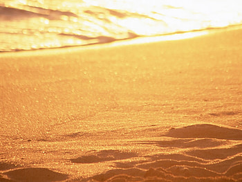 Hawaii island scenery, sand, hawaii, beaches, nature, gold HD wallpaper
