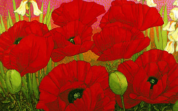 poppies20., poppies, flowers, red HD wallpaper